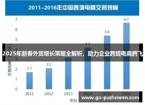 2025年新春外贸增长策略全解析,助力企业跨境电商腾飞 2025年新春外贸增长策略全解析,助力企业跨境电商腾飞