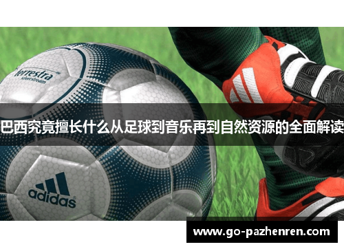 巴西究竟擅长什么从足球到音乐再到自然资源的全面解读 巴西究竟擅长什么从足球到音乐再到自然资源的全面解读