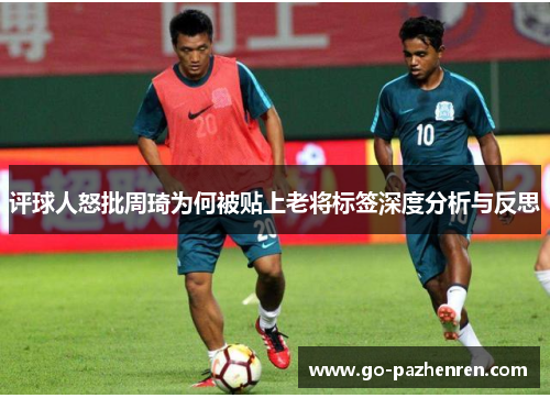 评球人怒批周琦为何被贴上老将标签深度分析与反思 评球人怒批周琦为何被贴上老将标签深度分析与反思